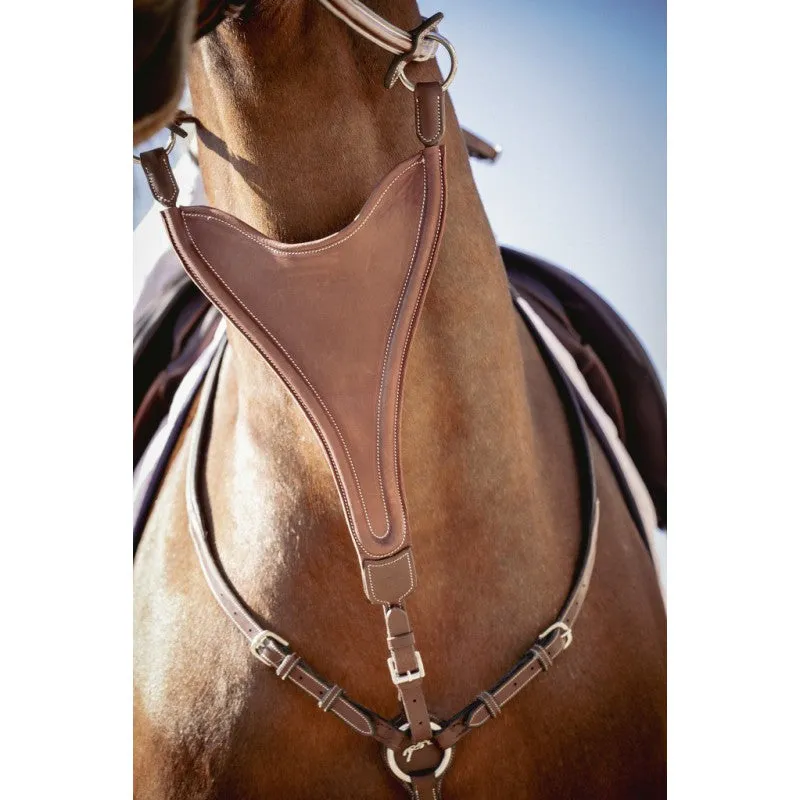 Bip Flap Martingale Fork Elastic