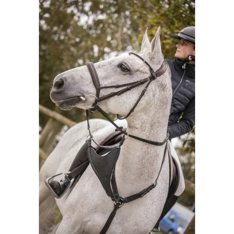 Bip Flap Martingale Fork Elastic