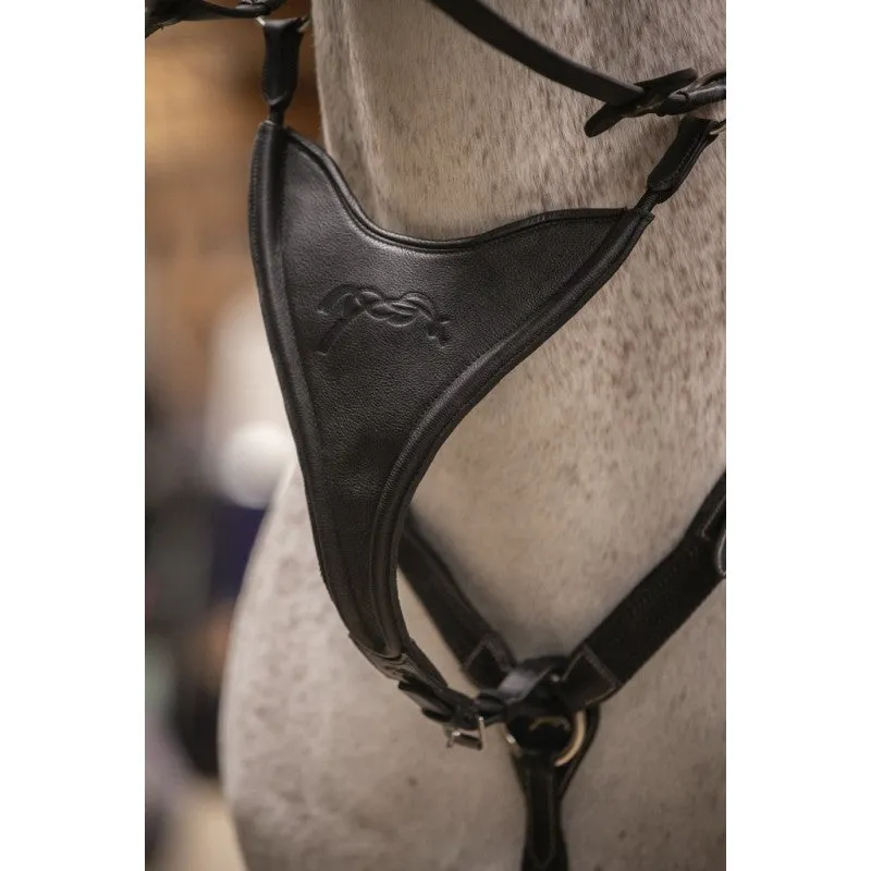 Bip Flap Martingale Fork Elastic