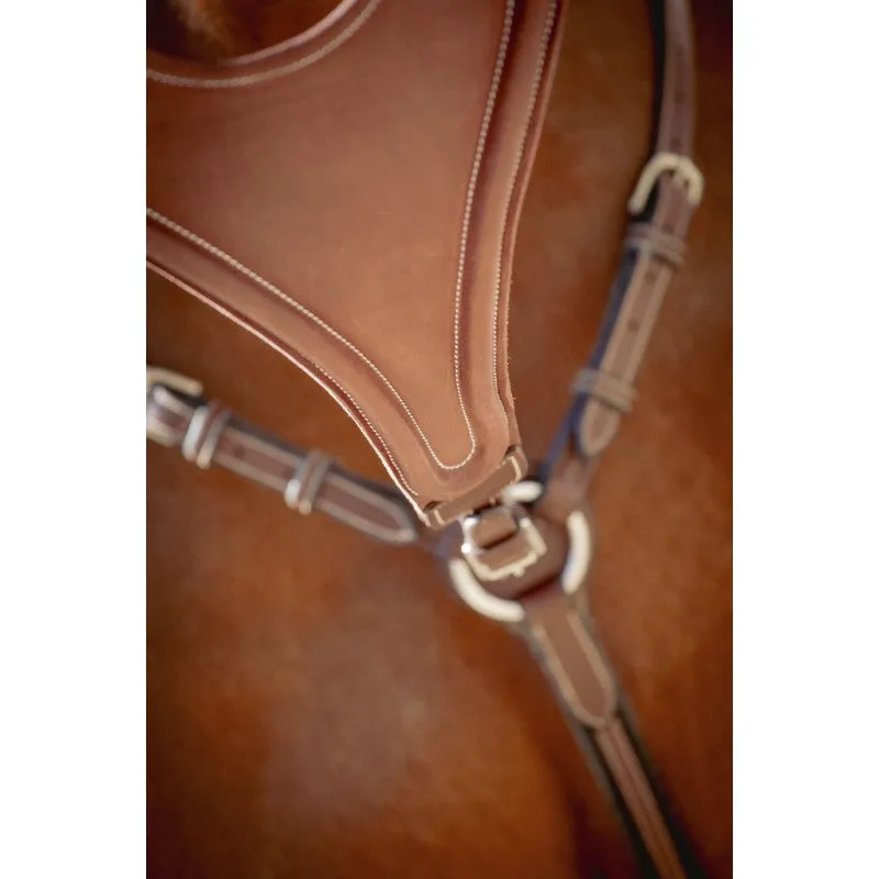 Bip Flap Martingale Fork Elastic